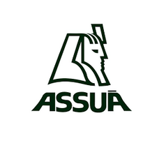 Logo Assuã